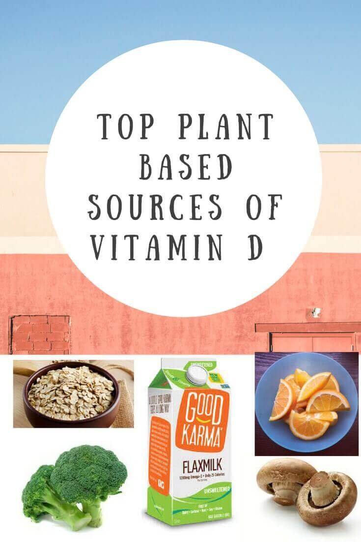 Top Plant Based Sources of Vitamin D